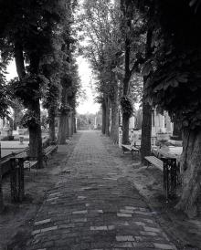 Cemeteries Sites